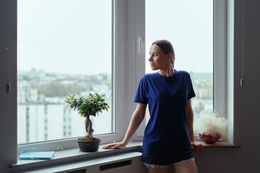 Bozeman Window Styles